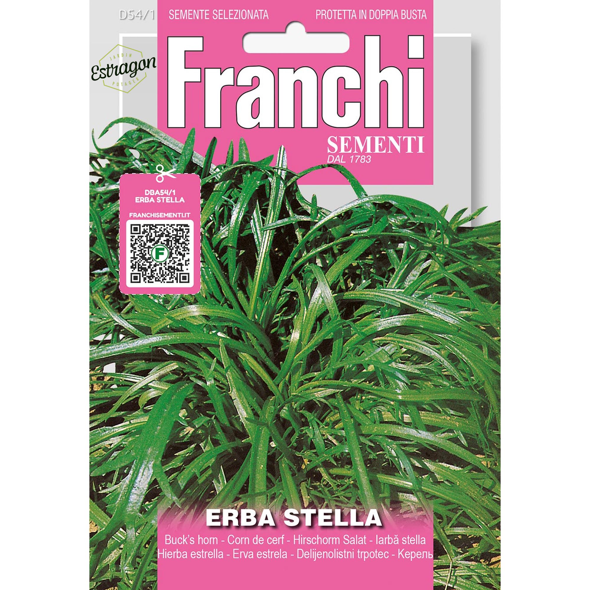 8012450715757 - DBA54-1 - Graines - Corn de cerf - Erba stella - 1,5 gr - Franchi