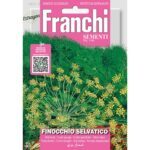 8012450715764 - DBA62-18 - Graines - Fenouil sauvage - Finocchio selvatico - 4 gr - Franchi