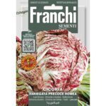 8012450730897 - DBOS40-61 - Graines - Chicoree - Cicoria Variegata Precose Romea - 5 gr - Franchi