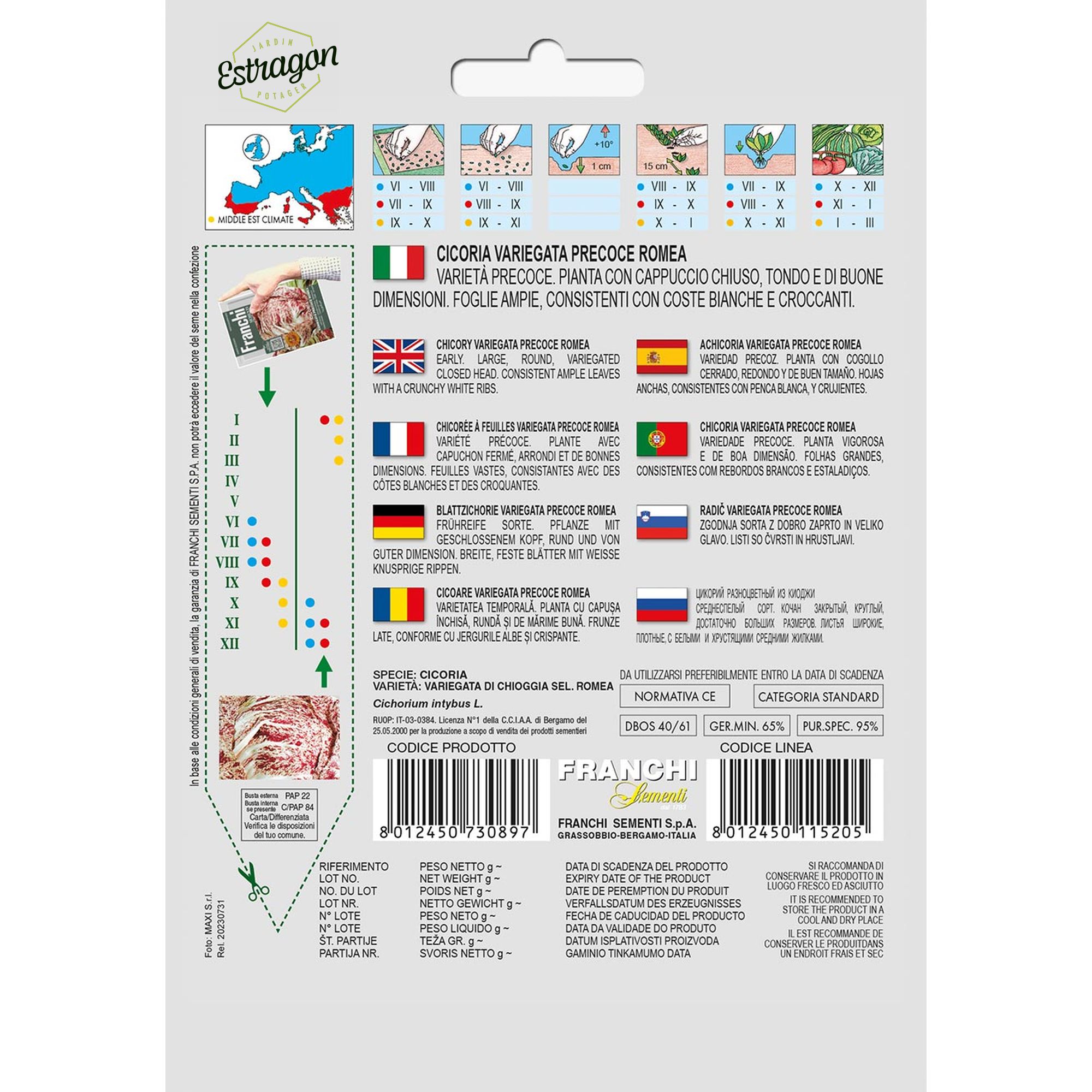 8012450730897 - DBOS40-61 - Graines - Chicoree - Cicoria Variegata Precose Romea - 5 gr - Franchi -V