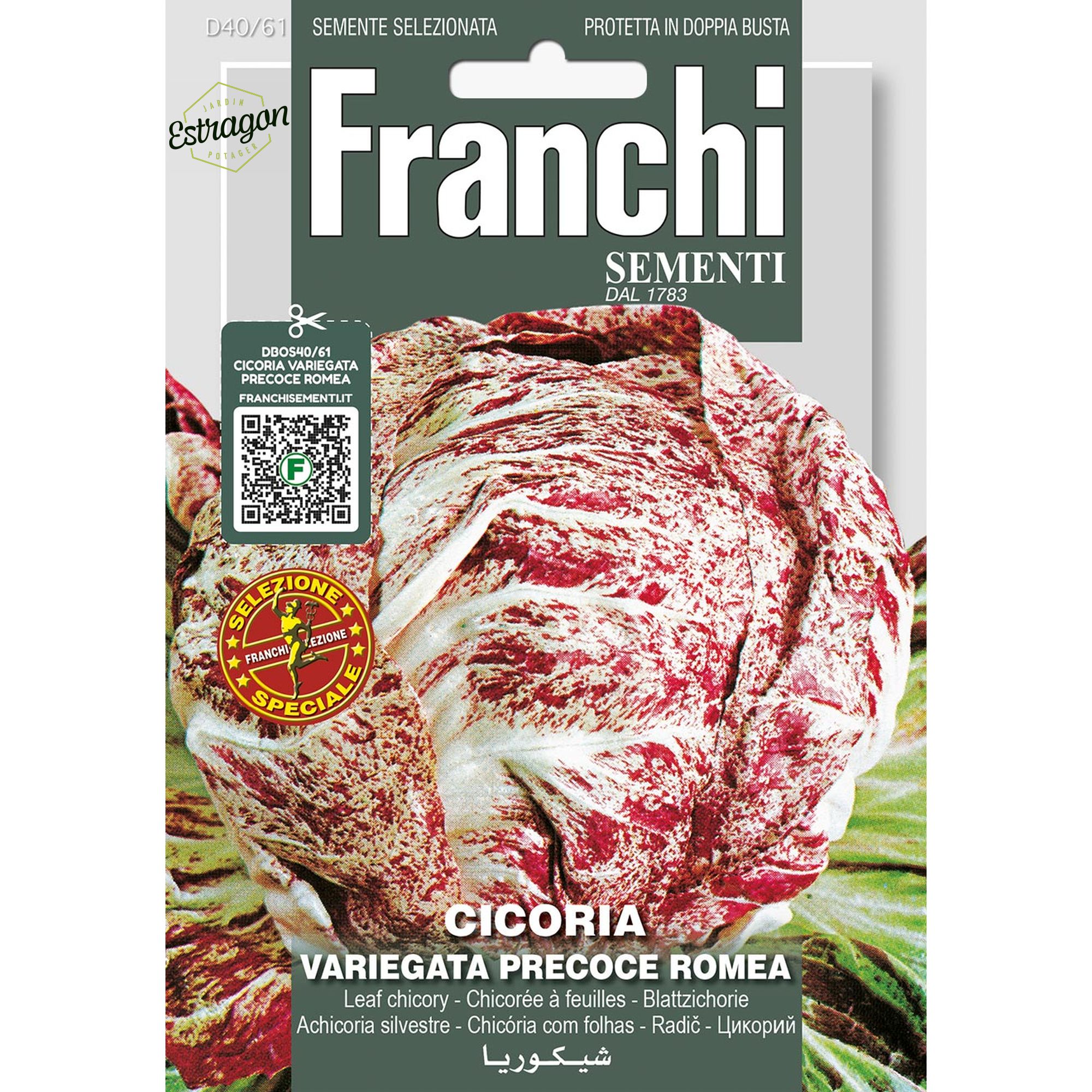 8012450730897 - DBOS40-61 - Graines - Chicoree - Cicoria Variegata Precose Romea - 5 gr - Franchi
