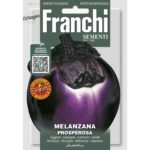 8012450732020 - DBOS90-15 - Graines - Aubergine - Melanzana prosperosa 3 gr - Franchi