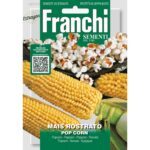 8012450754398 - DBO88-20 - Graines - Mais Rostrato Pop Corn - 5 gr - Franchi