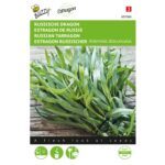 8711117010609-001060-Graines-Estragon-02-gr-Buzzy