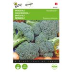 8711117022398-002239-Graines-Chou-Brocoli-Marathon-Hybride-F1-75-graines-Buzz