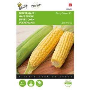 8711117024224-002422-Graines-Mais-sucre-Tasty-Sweet-Hybride-F1-10-gr-Buzz
