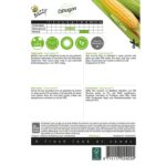8711117024224-002422_1-Graines-Mais-sucre-Tasty-Sweet-Hybride-F1-10-gr-Buzzy