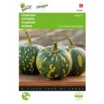 8711117024842-002484-Graines-Potiron-Asterix-1-gr-Buzzy