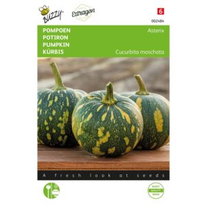 8711117024842-002484-Graines-Potiron-Asterix-1-gr-Buzzy