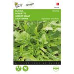 8711117025962-002596-Graines-Roquette-Wasabi-05-gr-Buzzy