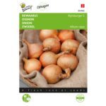 8711117029007-002900-Graines-Oignon-Rijnsburg-5-4-gr-Buzzy