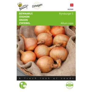 8711117029007-002900-Graines-Oignon-Rijnsburg-5-4-gr-Buzzy