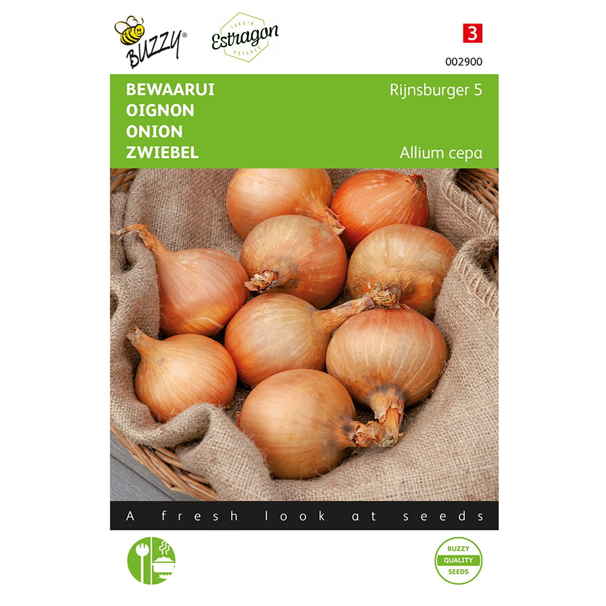 8711117029007-002900-Graines-Oignon-Rijnsburg-5-4-gr-Buzzy