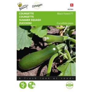 8711117029649-002964-Graines-Courgette-Black-Forest-Hybride-F1-6-graines-Buzzy