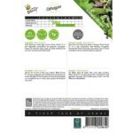 8711117029649-002964_1-Graines-Courgette-Black-Forest-Hybride-F1-6-graines-Buzzy