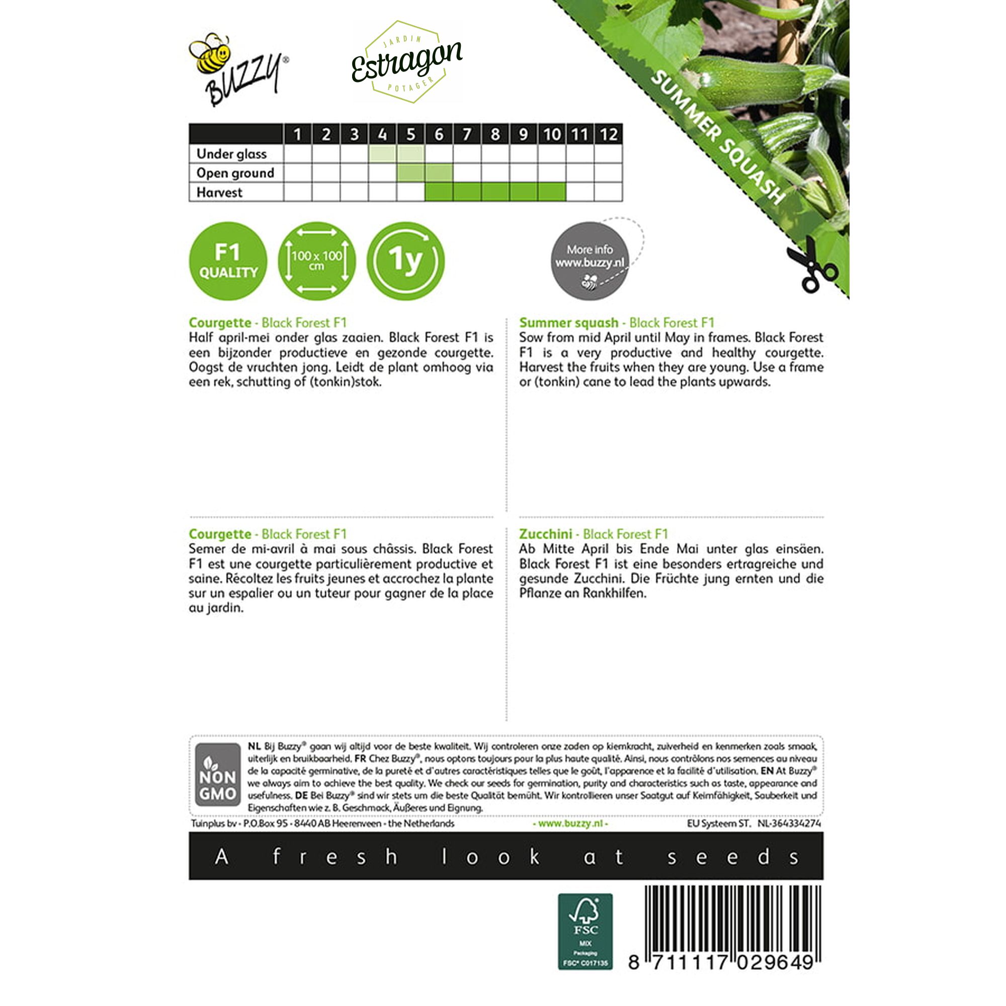 8711117029649-002964_1-Graines-Courgette-Black-Forest-Hybride-F1-6-graines-Buzzy