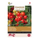Graines - Tomate Cerise Tomfall - Buzzy