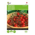 Graines - Tomate cerise Dattored Hybride F1 - 8 graines - Buzzy
