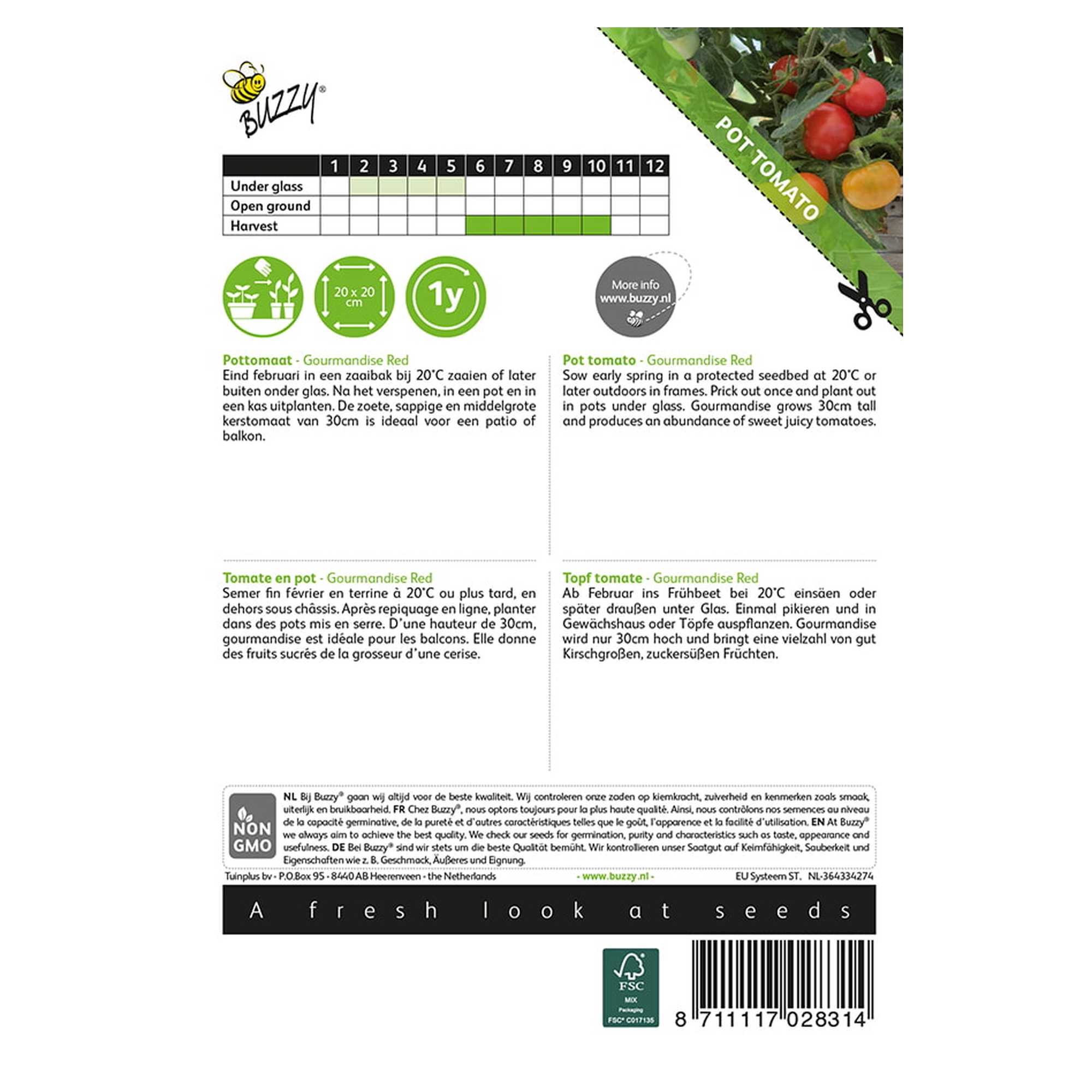 Graines - Tomate cerise naine Gourmandise Red - 10 graines - Buzzy verso