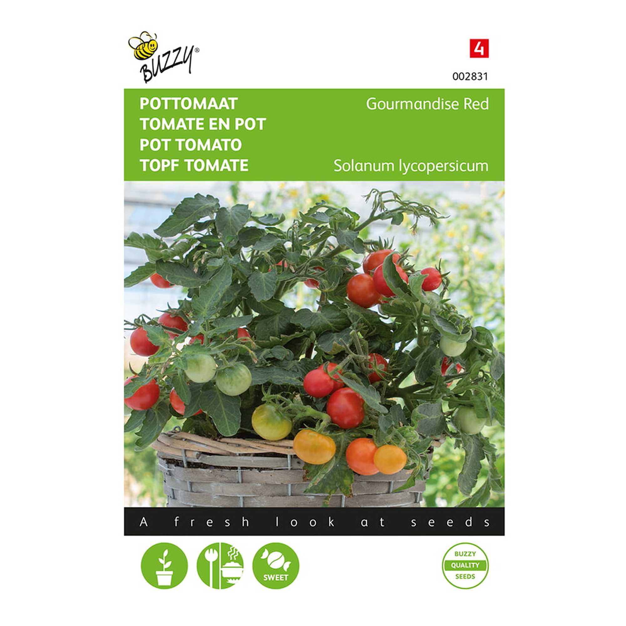 Graines - Tomate cerise naine Gourmandise Red - 10 graines - Buzzy