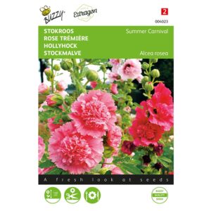 8711117040231-004023-Graines-Rose-tremiere-Summer-Carnival-05-gr-Buzzy