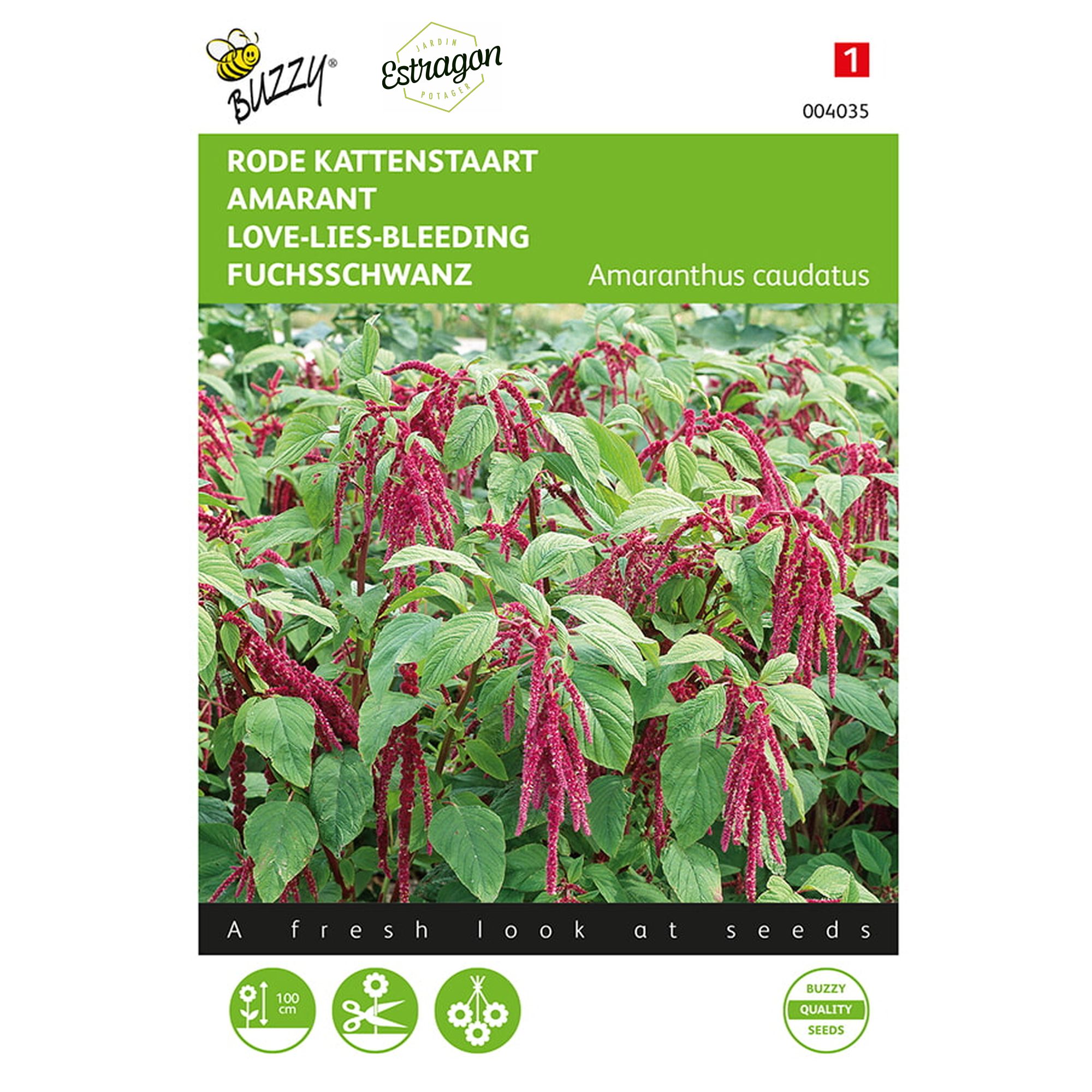 8711117040354-004035-Graines-Amarante-Queue-de-Renard-rouge-1-gr-Buzzy