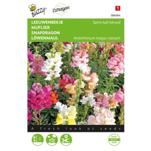 8711117040446-004044-Graines-Muflier-Demi-nain-varie-05-gr-Buzzy