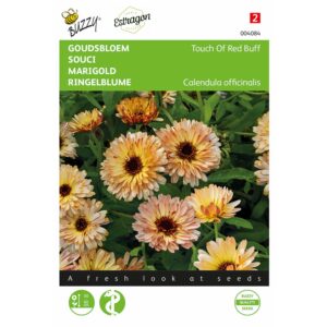 8711117040842 - 004084 - Graines - Souci Touch Of Red Buff - 0,75 gr - Buzzy