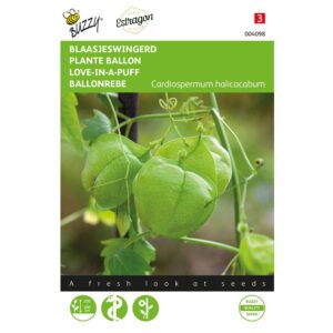 711117040989-004098-Graines-Plante-ballon-2-gr-Buzzy