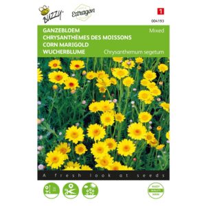 8711117041931-004193-Graines-Chrysanthemes-des-moissons-Jaune-variee-02-gr-Buzzy