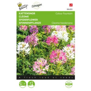 8711117042037-004203-Graines-Cleome-Colour-Fountain-05-gr-Buzzy