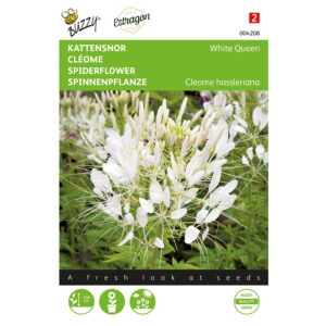 711117042082-004208-Graines-Cleome-White-Queen-05-gr-Buzzy