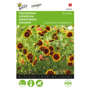 8711117042099-004209-Graines-Cosmidium-Brunette-05-gr-Buzzy