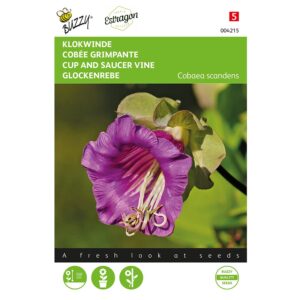 8711117042150-004215-Graines-Cobee-grimpante-1-gr-Buzzy