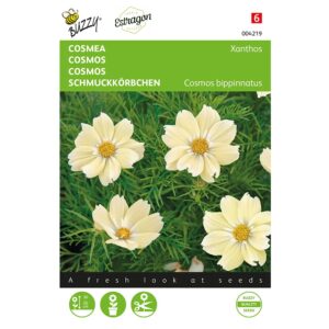 8711117042198-004219-Graines-Cosmos-Xanthos-10-graines-Buzzy