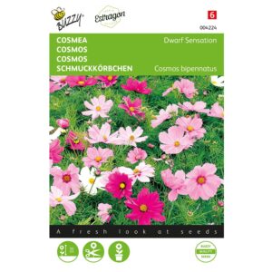 711117042242-004224-Graines-Cosmos-Sonata-varie-06-gr-Buzzy