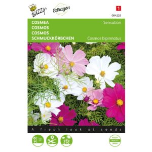 8711117042259-004225-Graines-Cosmos-Sensation-varie-1-gr-Buzzy