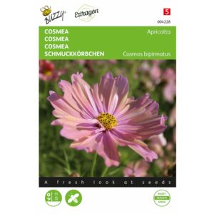 8711117042280 - 004228 - Graines - Cosmea Apricotta - 30 graines - Buzzy