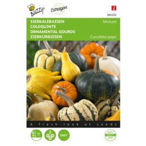 8711117042327-004232-Graines-Cucurbita-Coloquinte-Petit-et-Grand-fruit-2-gr-Buzzy