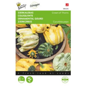 8711117042341-004234-Graines-Coloquinte-Griffes-du-Diable-15-gr-Buzzy