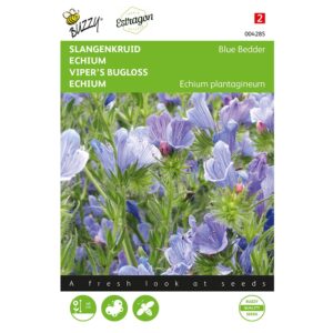 8711117042853-004285-Graines-Echium-Blue-Bedder-1-gr-Buzzy