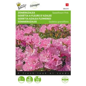 8711117043195-004319-Graines-Godetia-a-fleurs-dOCOazalee-Sweetheart-Pink-075-gr-Buzzy