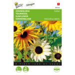 8711117043522-004352-Graines-Tournesol-Esther-1-gr-Buzzy