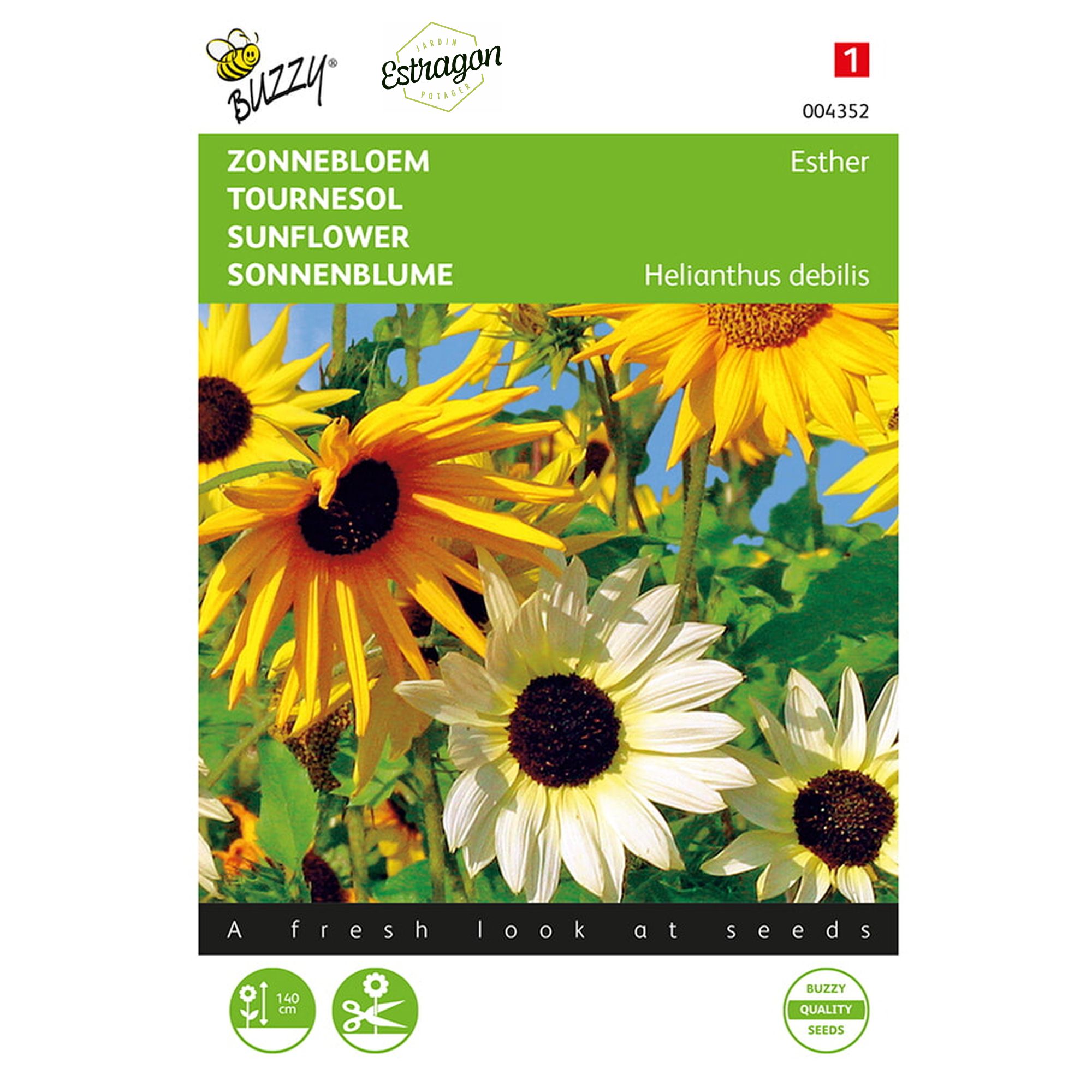 8711117043522-004352-Graines-Tournesol-Esther-1-gr-Buzzy