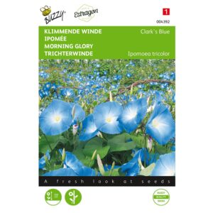 8711117043928 - 004392 - Graines - Ipomee Clark s Blue - 2 gr - Buzzy