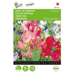 8711117044185-004418-Graines-Pois-de-senteur-Colorama-varie-5-gr-Buzzy