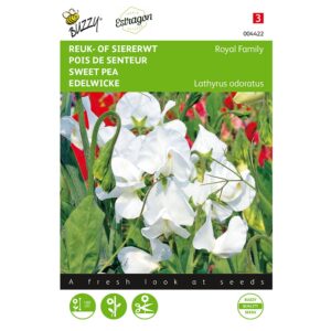 8711117044222 - 004422 - Graines - Pois de senteur Royal Blanc - 4 gr - Buzzy
