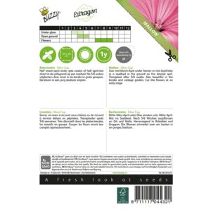 8711117044321-004432_1-Graines-Lavatera-Silver-Cup-15-gr-Buzzy