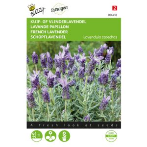 8711117044338-004433-Graines-Lavande-papillon-01-gr-Buzzy