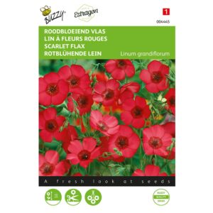 8711117044451-004445-Graines-Lin-a-fleurs-rouges-15-gr-Buzzy
